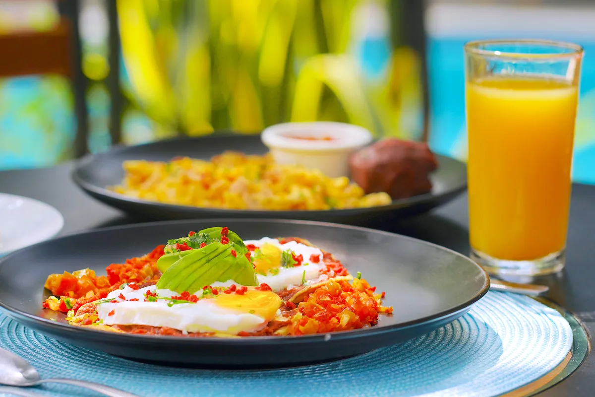 Huevos rancheros : œuf au plat sur tortilla nappée de sauce tomate avec avocat et coriandre